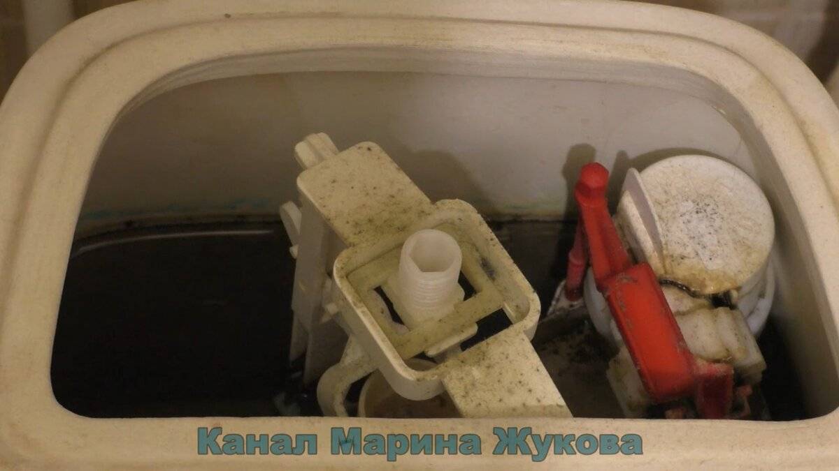 Как почистить унитаз от мочевого камня и известкового налета