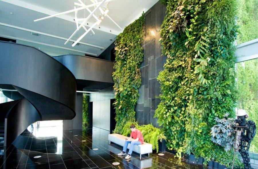 Зеленая стена из растений своими руками - клуб мастеров