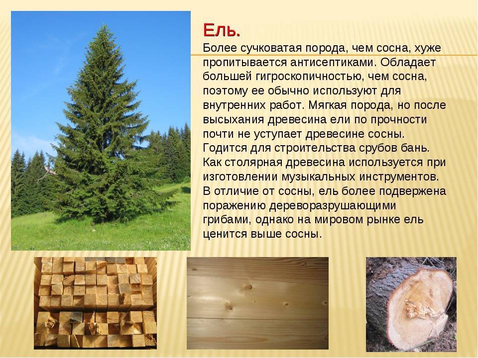 Что лучше брус или клееный брус: сравниваем характеристики материалов и выбираем лучший