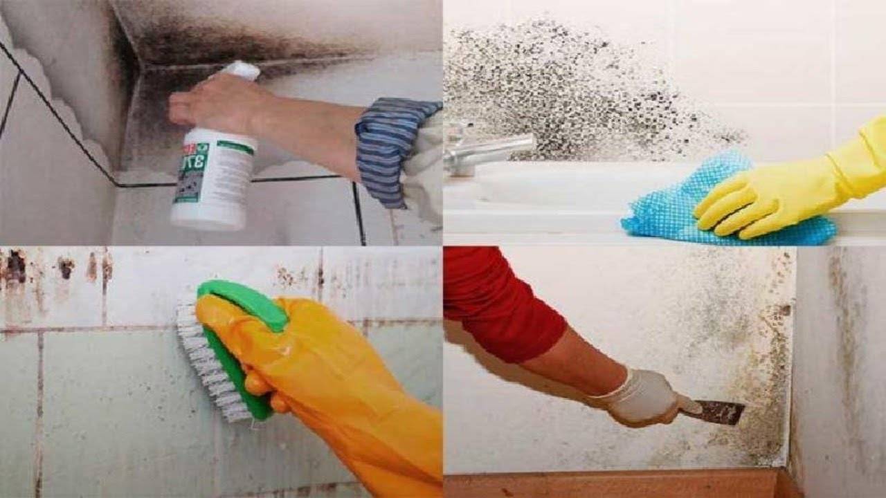 Как избавиться от плесени и грибка в ванной в домашних условиях