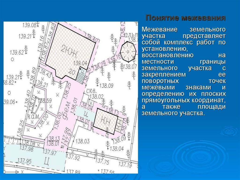 Выдел земельного участка — общедолевая собственность и размежевание в 2022 году