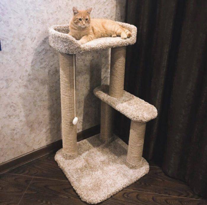 Когтеточка для кота — фото инструкция по выбору и изготовлению когтеточки своими руками в домашних условиях