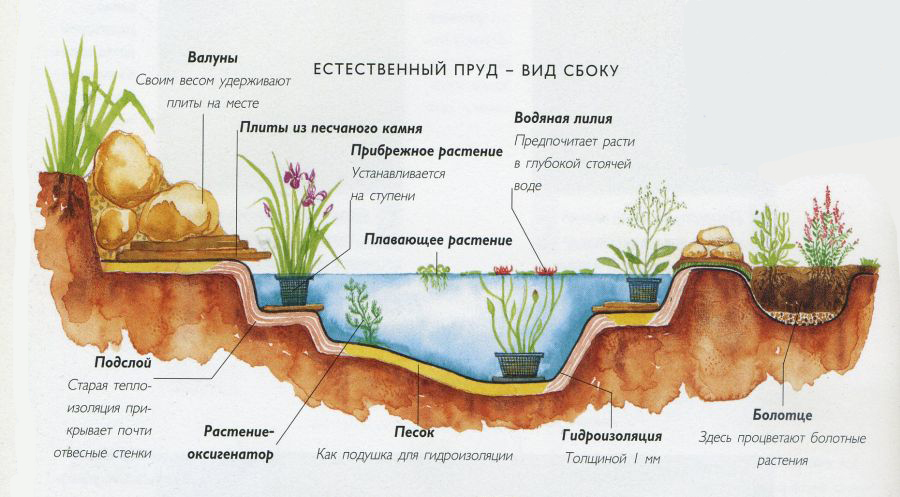 Декоративный пруд на даче: как сделать своими руками и идеи по оформлению