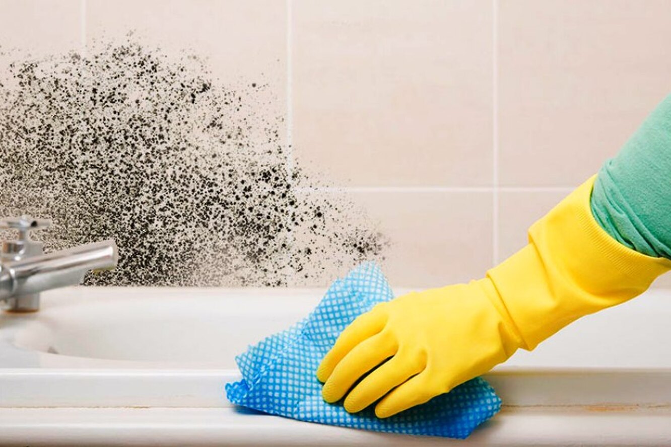 Как избавиться от плесени в ванной в домашних условиях: 15 проверенных средств