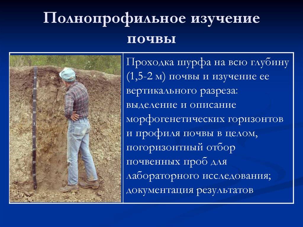 Отбор почв методы. Изучение почвы. Полевые исследования почв. Методы изучения почв. Методы исследования почвы.