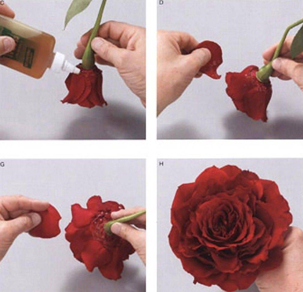 Искусственные цветы своими руками: инструкции как оформить правильно композиции