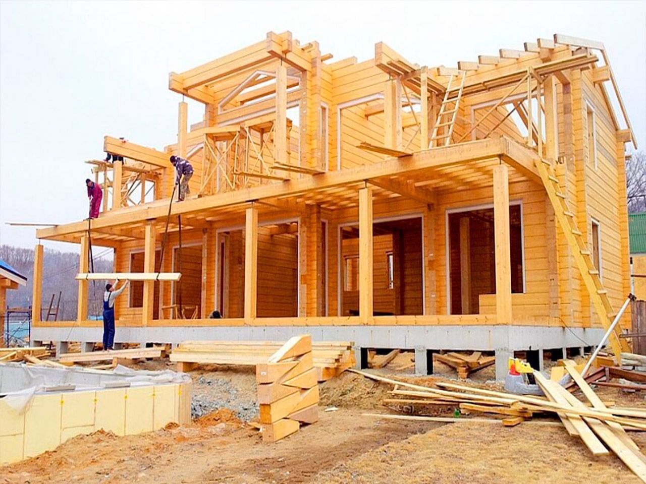 Как выбрать древесину для постройки дома: какая порода лучше