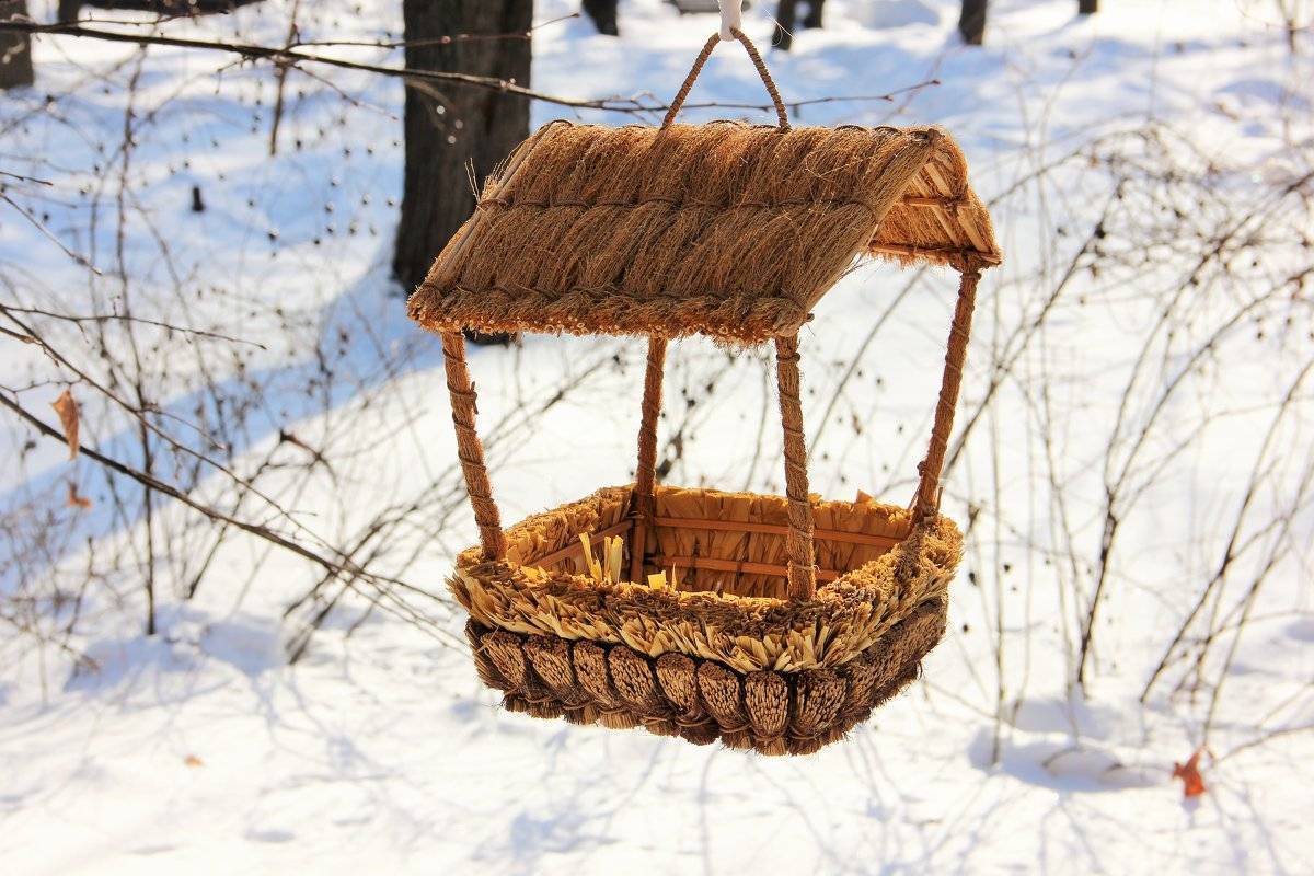 Кормушка для птиц своими руками – проекты и схемы, 80 лучших идей