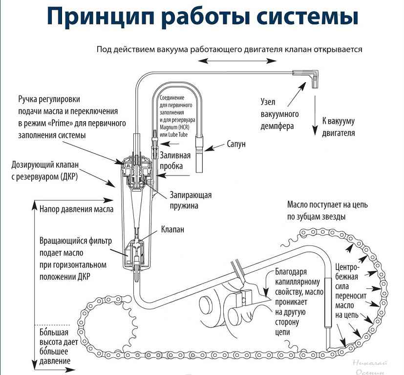 Масло для цепи бензопилы: какое, куда и когда использовать?