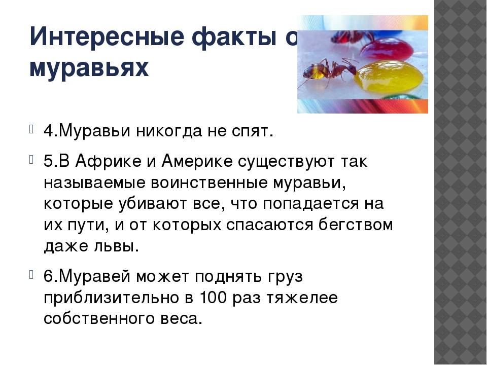 Достойные внимания факты о молотке, о которых вы буквально не знали — bankruptcyhelp.ru | строй-ремонт