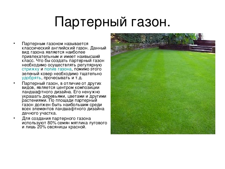 Как сделать газон: виды, подготовка, посадка, уход