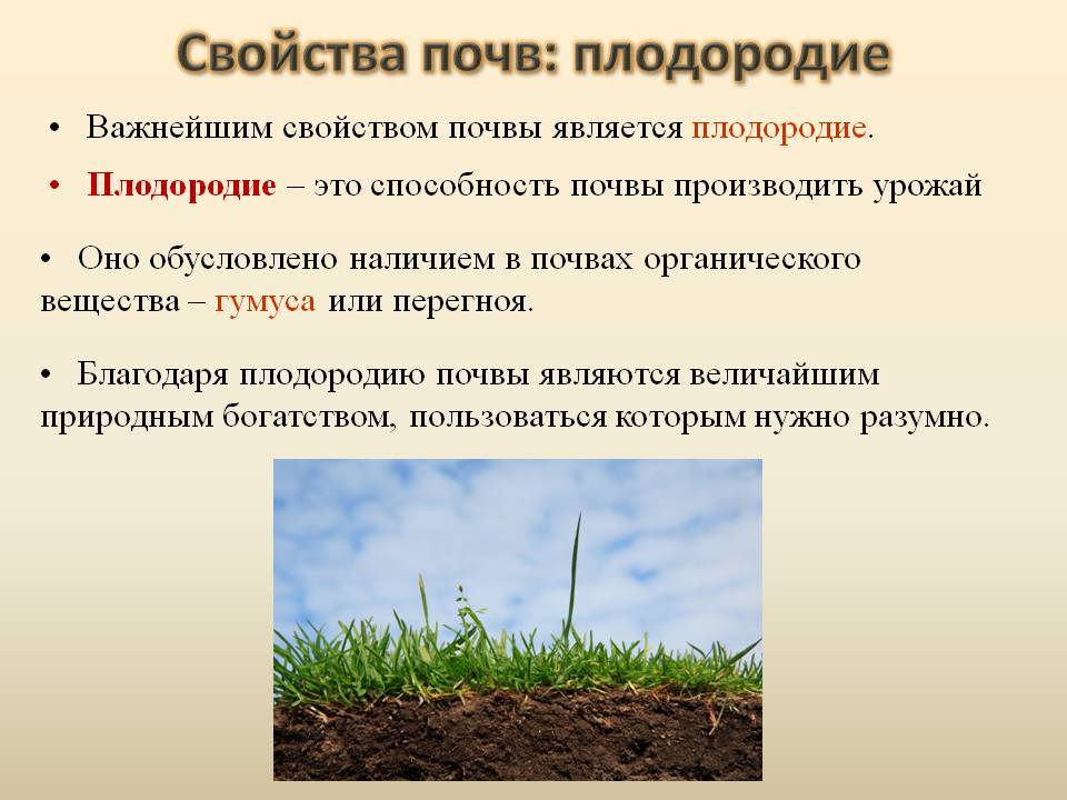 Проведение агрохимического анализа почвы – особенности, методика