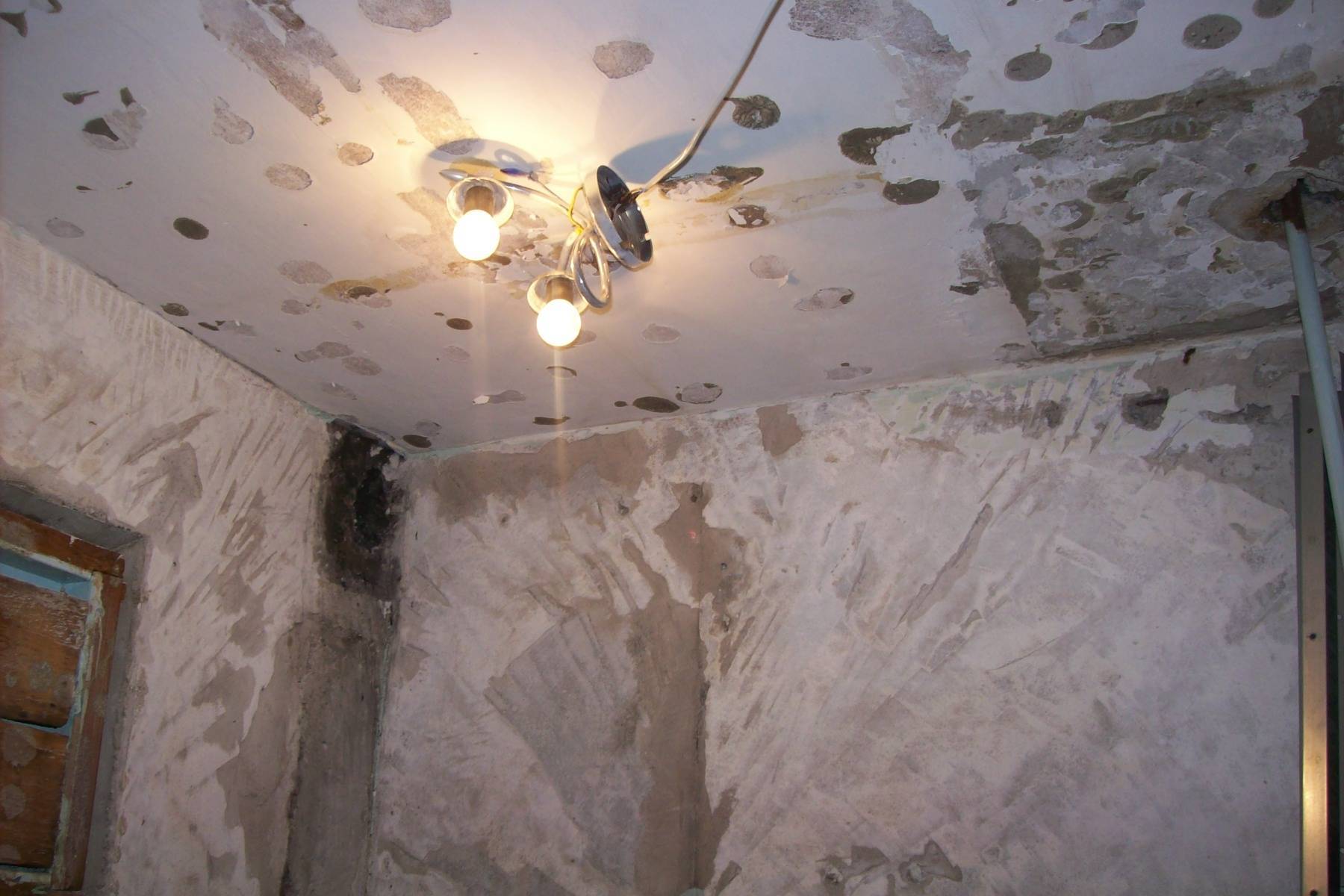 Как избавиться от плесени на потолке в зависимости от материала.