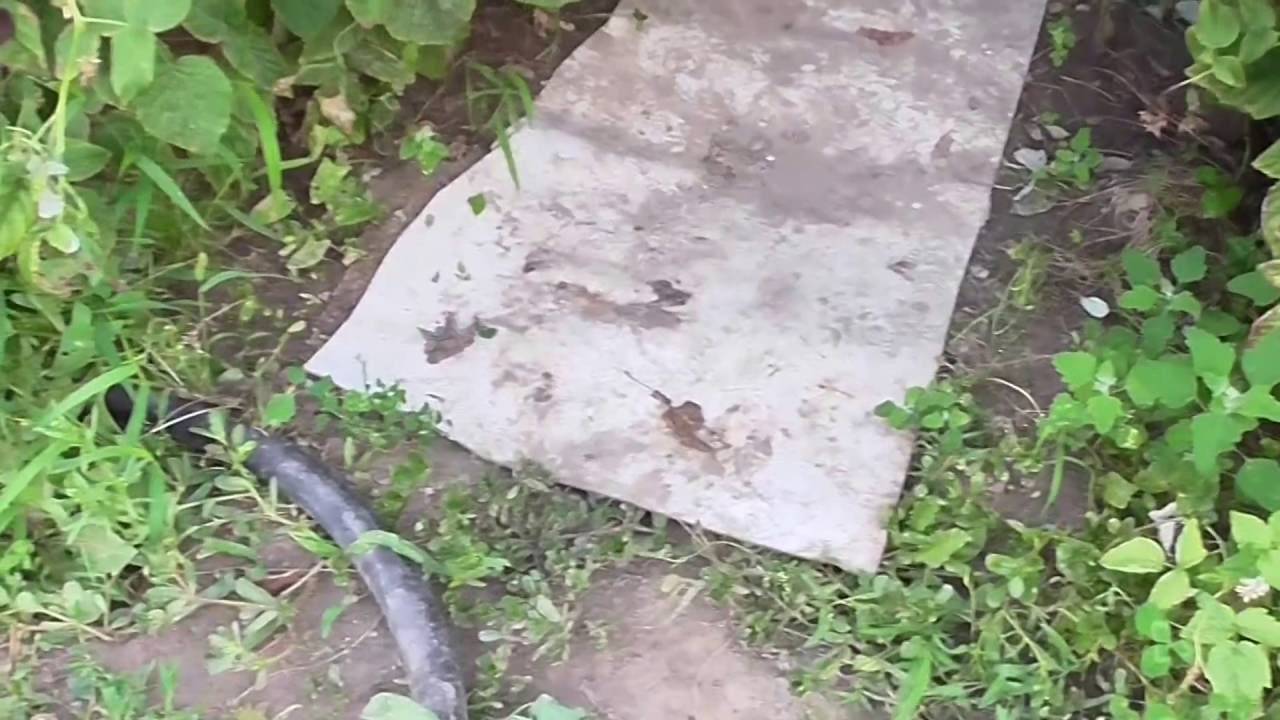 Голь на выдумку хитра: что можно сделать из остатков линолеума