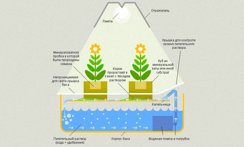 Гидропоника в домашних условиях зелень своими руками схема