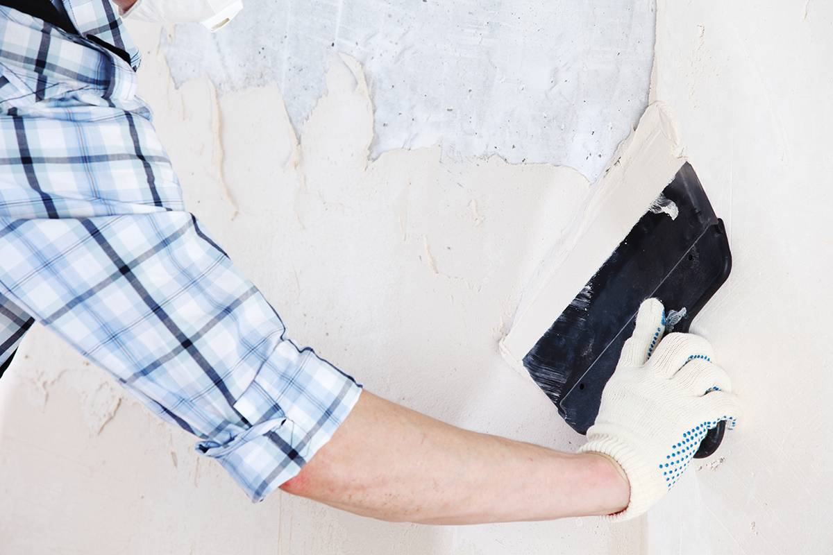 Финишная шпаклевка стен под покраску: как правильно шпаклевать стены