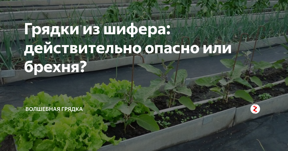 Чем вреден шифер для здоровья - опасность асбестоцемента