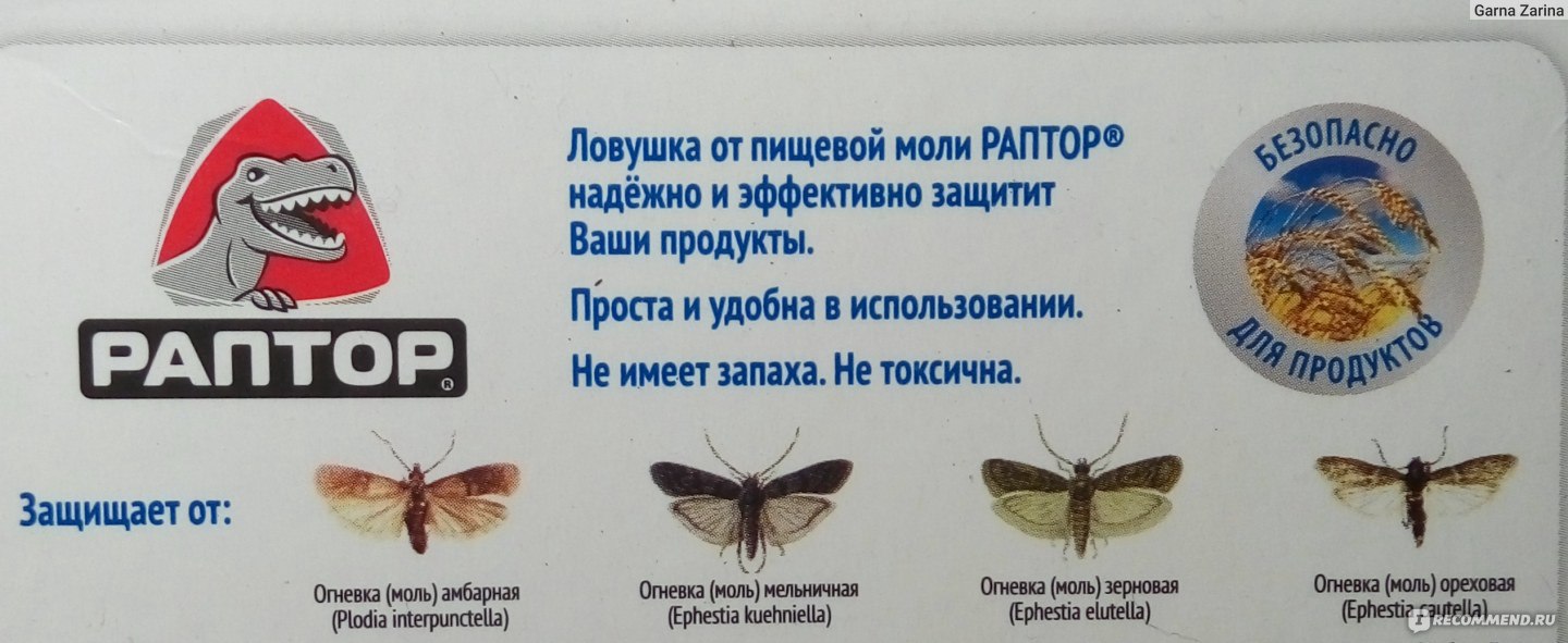 Средства от моли (бабочек и личинок) в квартире: народные и химические + отзывы