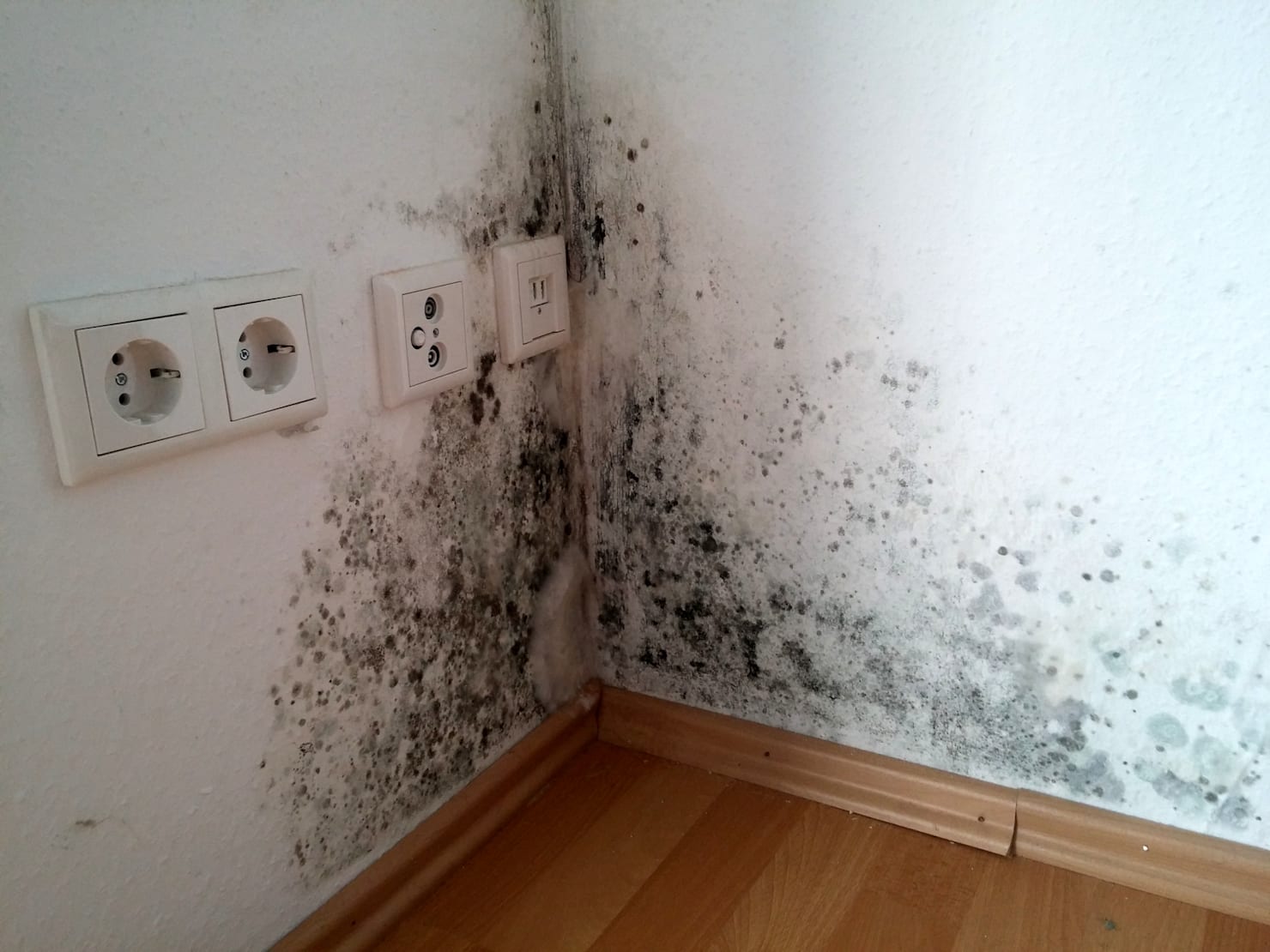 Что делать если сыреет стена в квартире