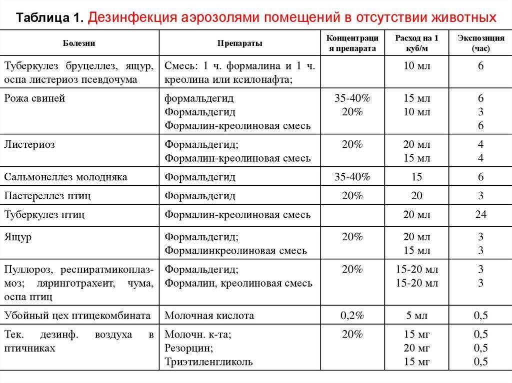 Средства для обработки погреба от грибка и плесени