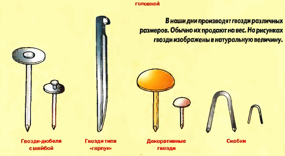 Где используются гвозди. Название гвоздей. Как называется шляпка гвоздя. Гвоздь обыкновенный.
