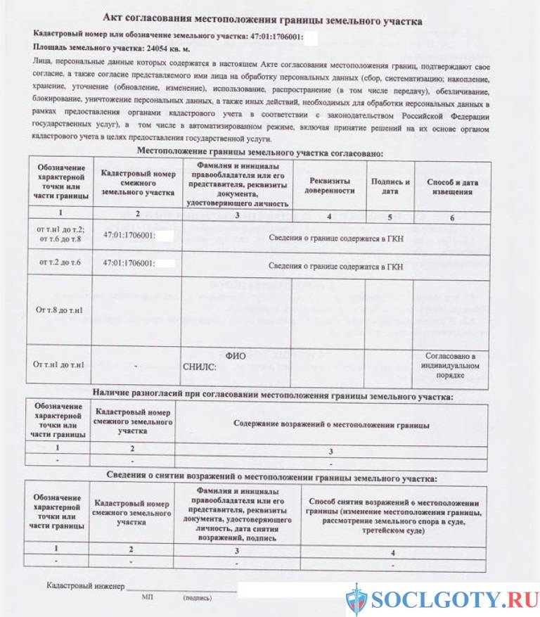 Для чего нужно межевание земельного участка и как сделать это бесплатно