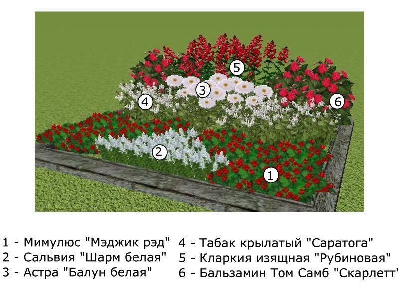 Проекты клумб и цветников со списком растений