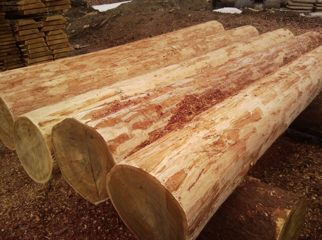Сравнение свойств хвойных пород древесины