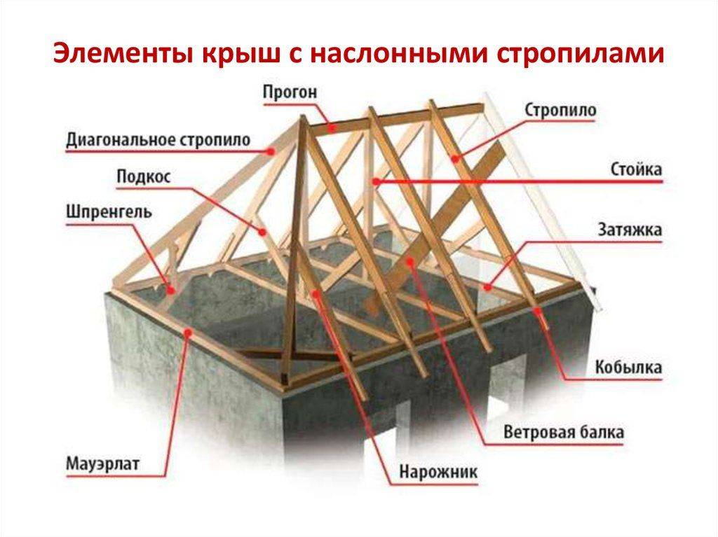 Чертежи крыш: односкатная, двухскатная, четырехскатная и плоская, с размерами, фото, разрез