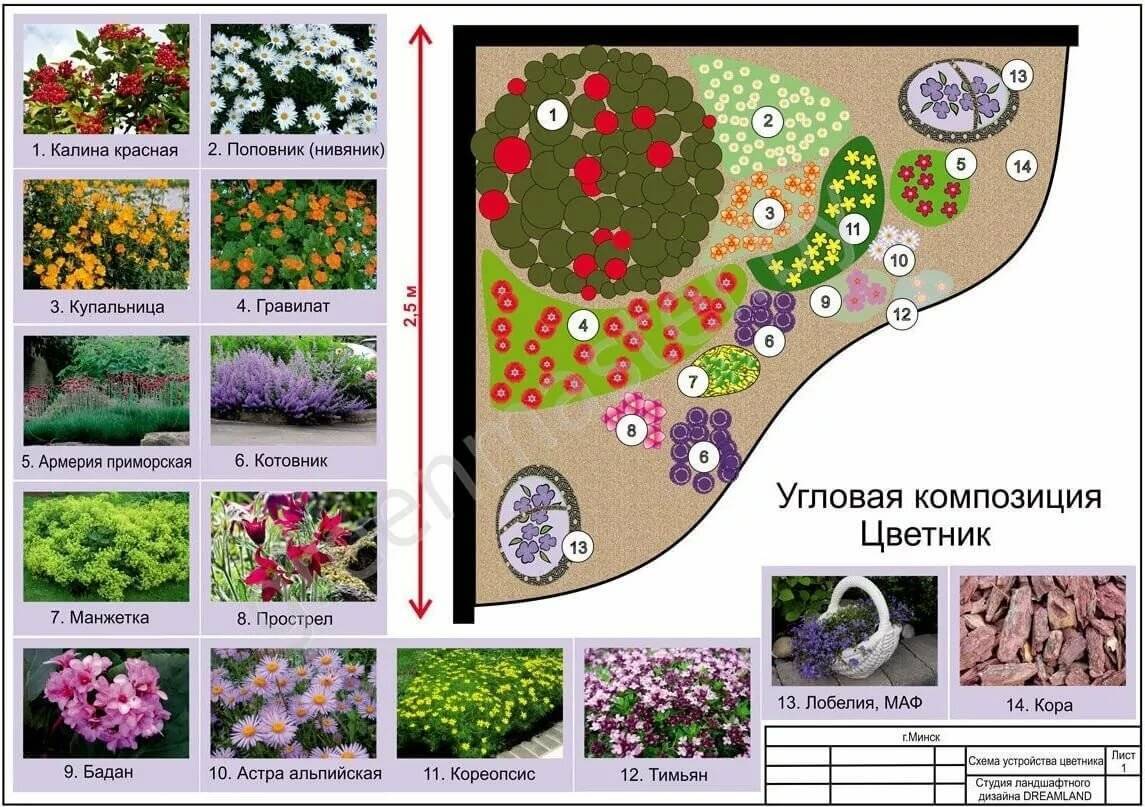 Схемы красивых клумб непрерывного цветения из многолетников