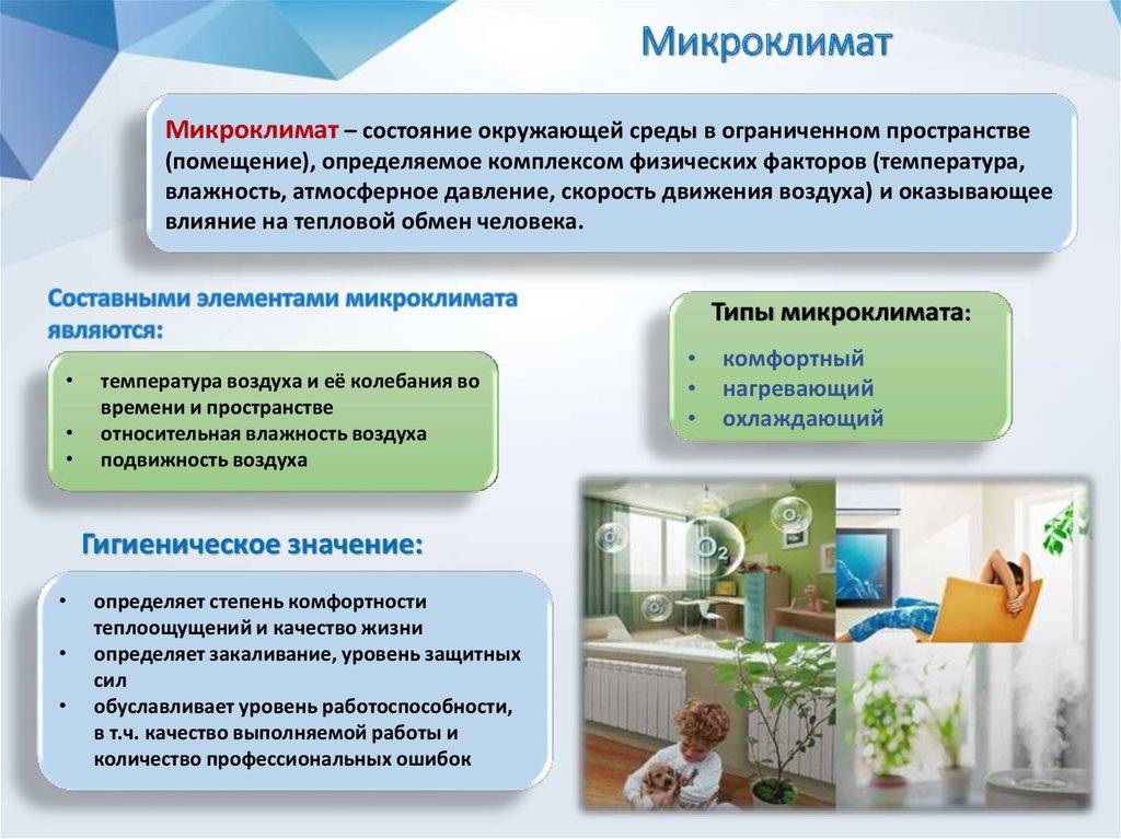 Погода в квартире: как создать здоровый микроклимат - домострой - info.sibnet.ru