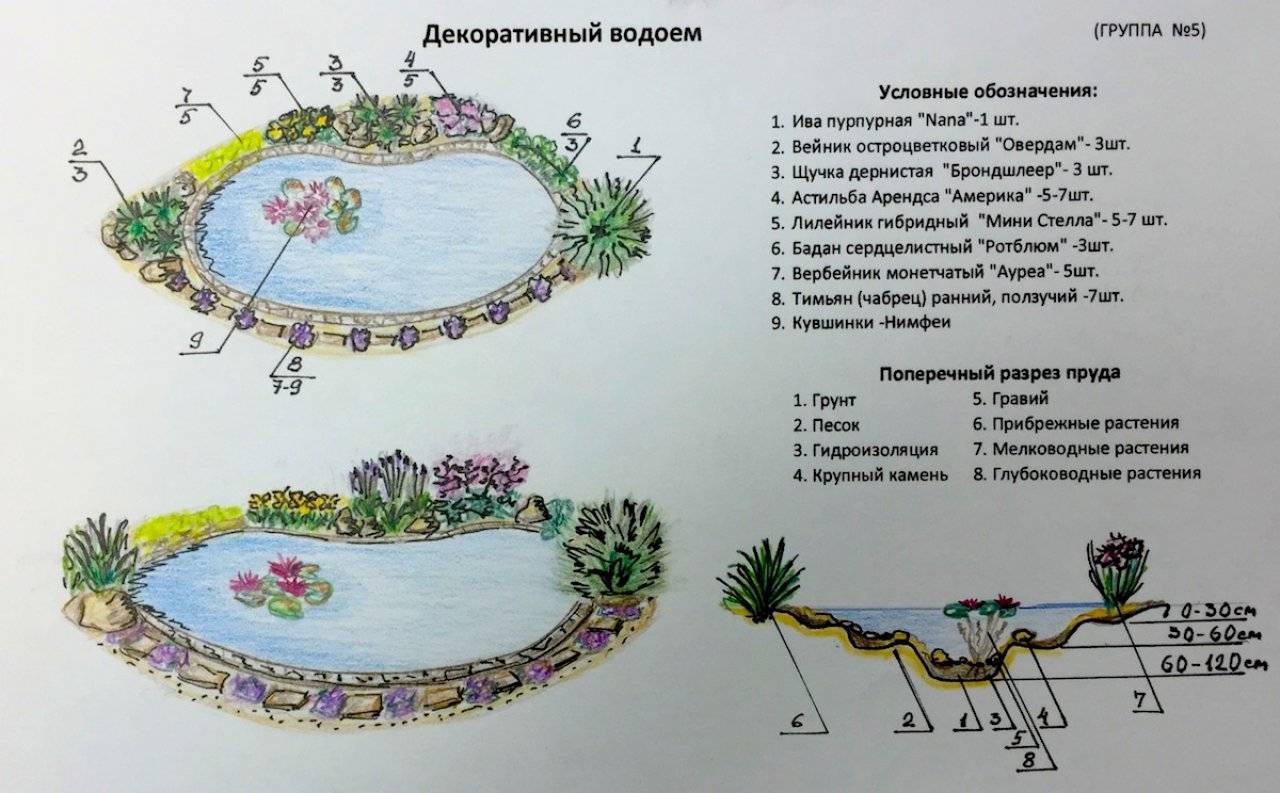 Проект пруд в доу