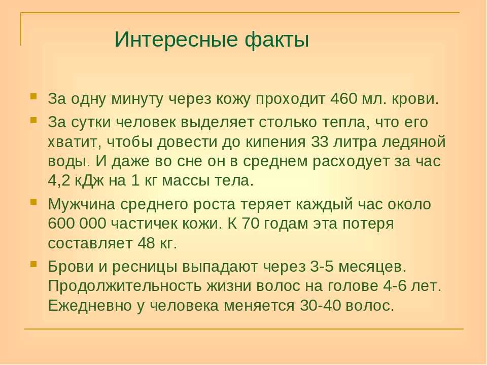Интересные факты о молотове