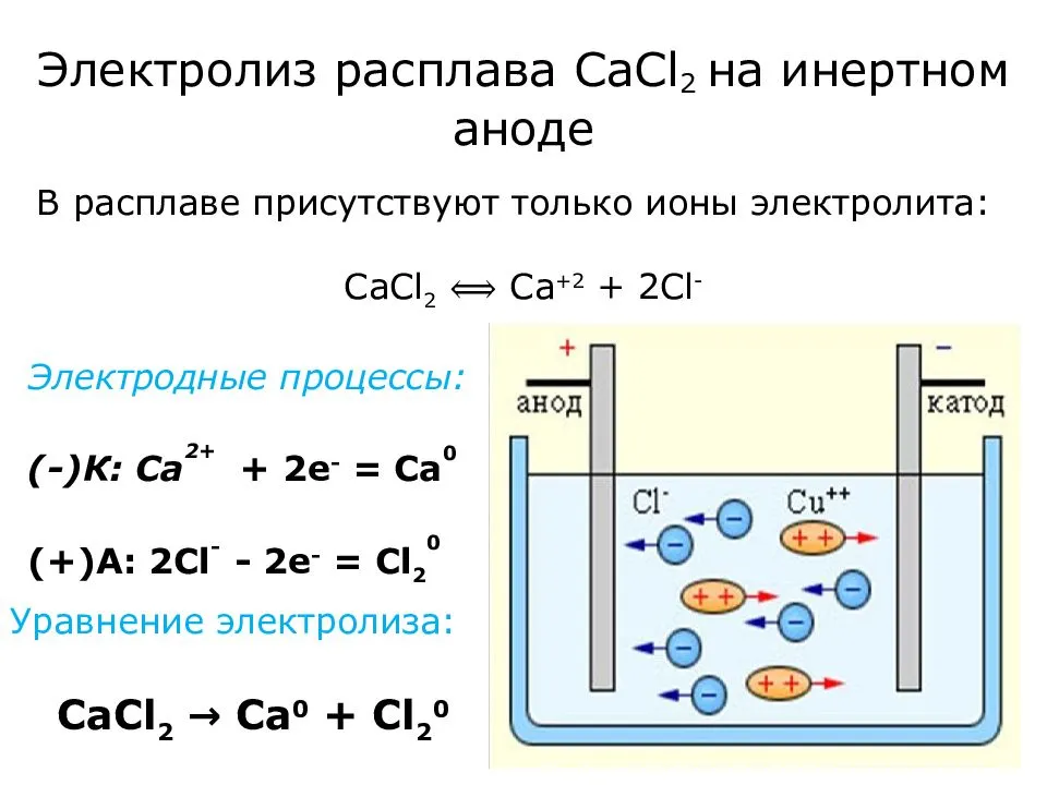 Анод и катод: что это такое, как их определить и запомнить - сам электрик