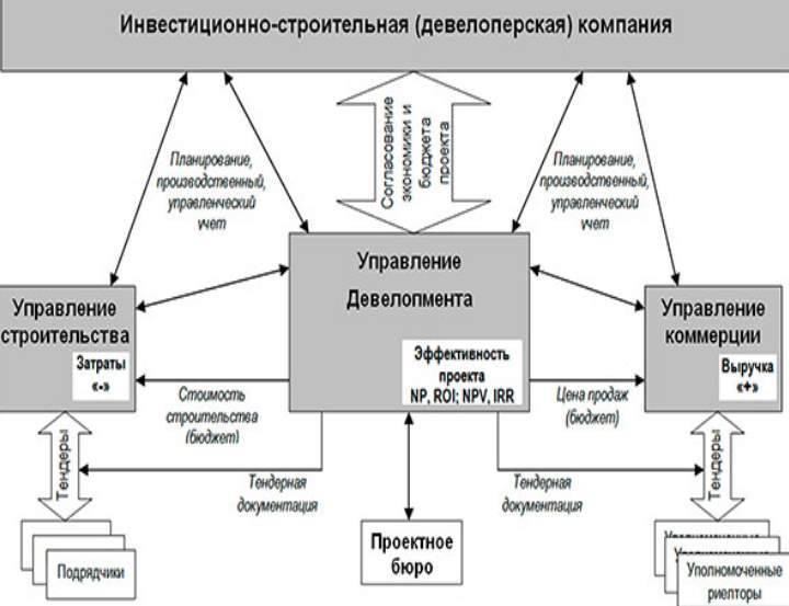50 фото земельного участка: планирование и дизайн