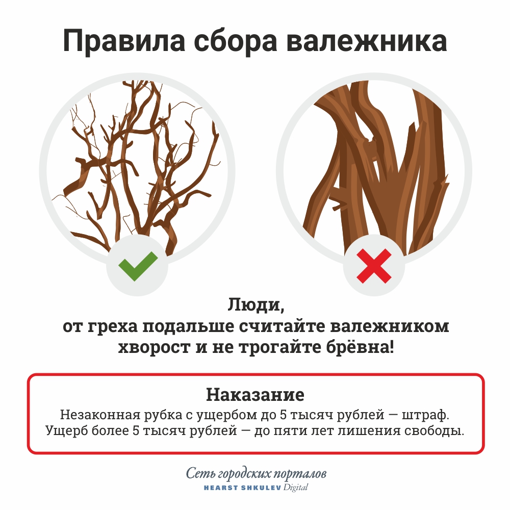 Как построить шалаш в лесу своими руками, зимой, на дереве, из веток