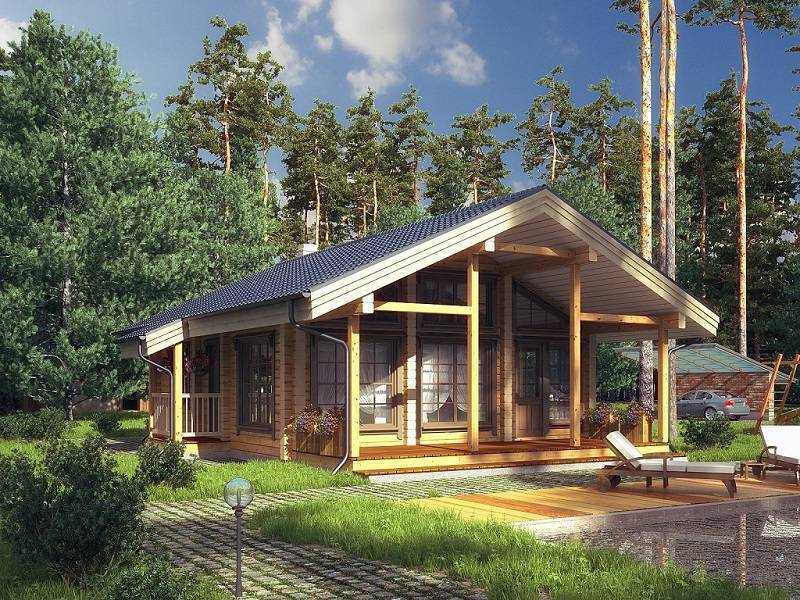 Одноэтажные финские дома из дерева