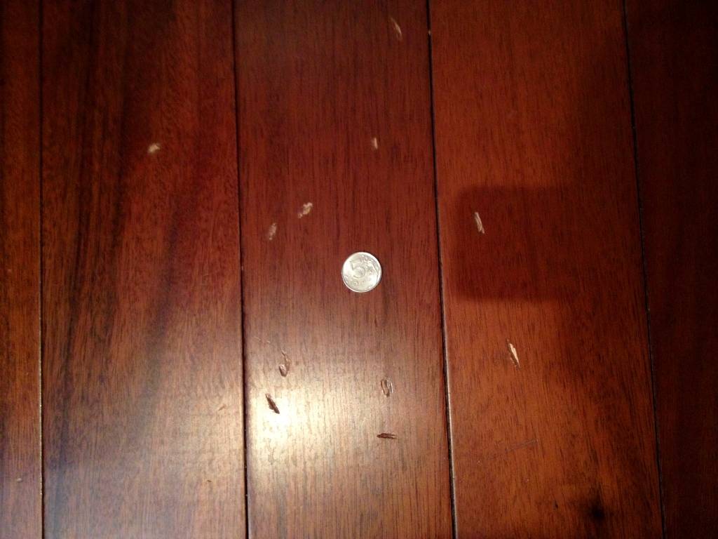 Как удалить вмятину с поверхности древесины: 10 шагов