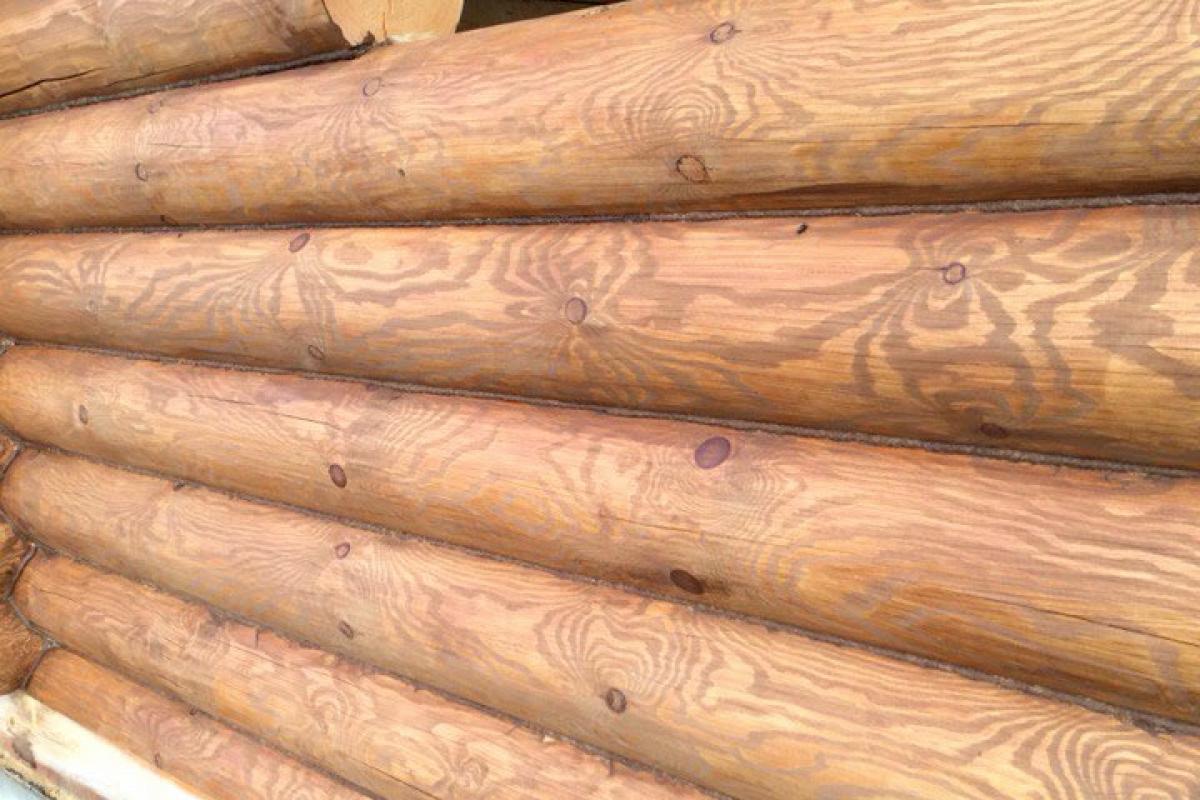 Как правильно обшить деревянный дом сайдингом своими руками