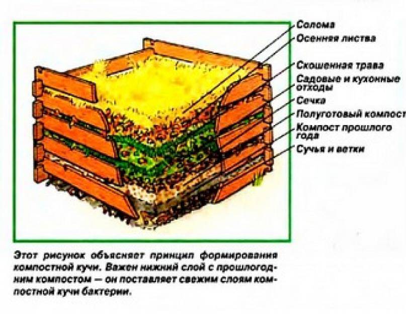 Компостная яма своими руками варианты: самостоятельное изготовление с фото и видео инструкциями