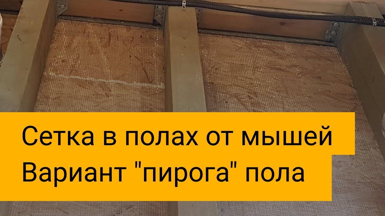 Как победить мышей в каркасном доме и не допустить их появления