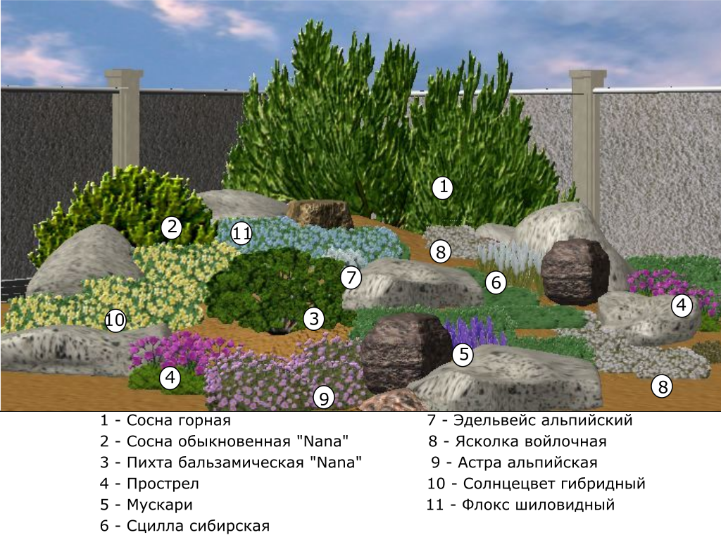 Рокарий схема с названиями растений