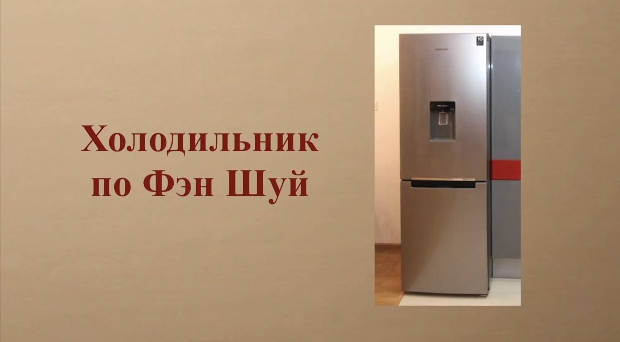 Как выбрать холодильник для дома: советы по выбору, функции, на которые нужно смотреть при покупке