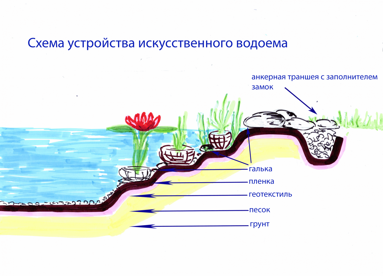 Варианты пруда на участке - форма, размер, оформление. 20 фото.
