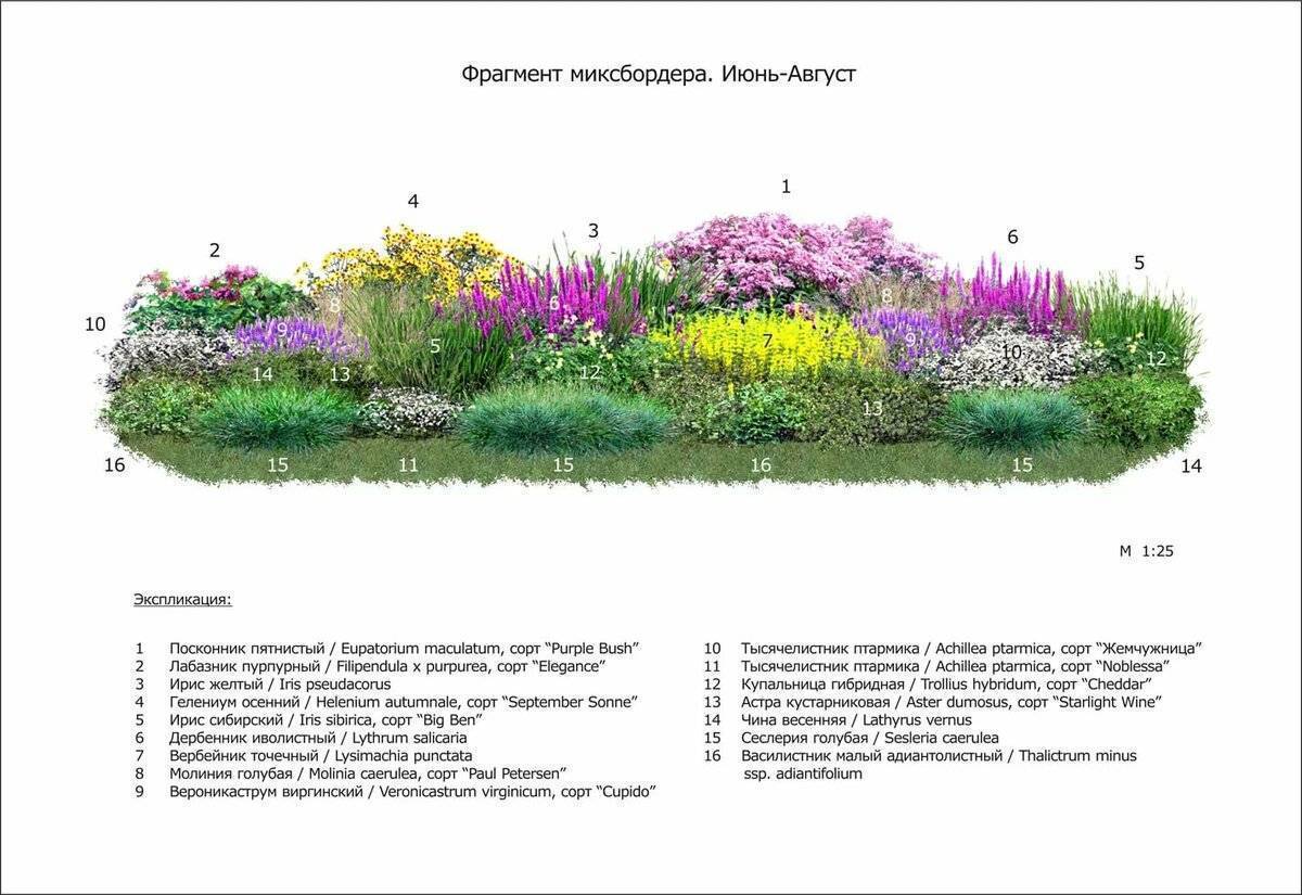 Миксбордер своими руками – готовые схемы из многолетников, хвойных и кустарников – план с фото — sibear.ru