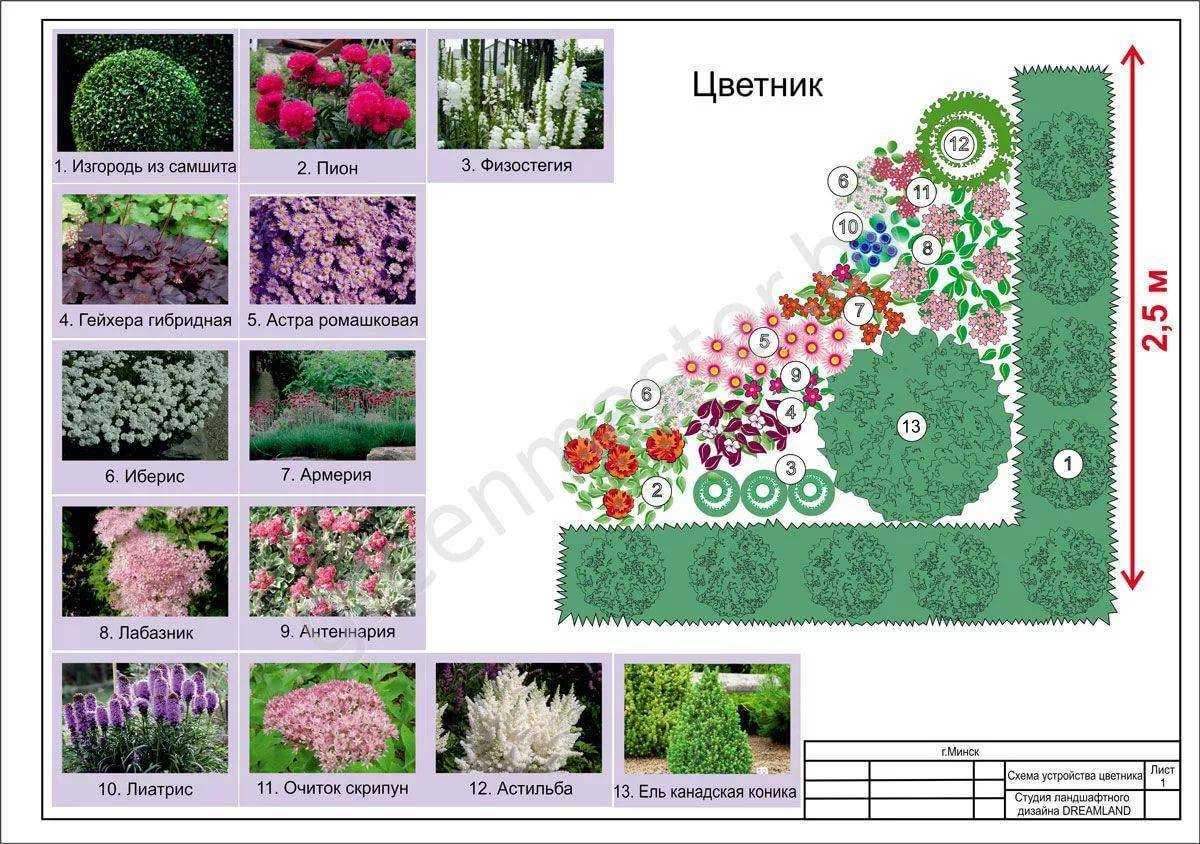 Миксбордер: 90 фото правильного подбора растений для дизайна