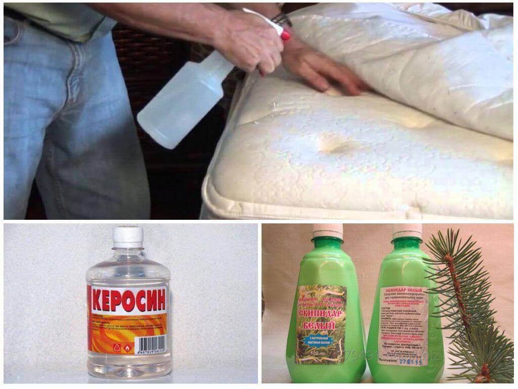 Как вывести клопов из квартиры самостоятельно: методы и средства