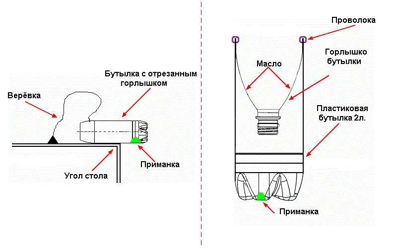 Как сделать мышеловку своими руками: пошаговое описание разных конструкций