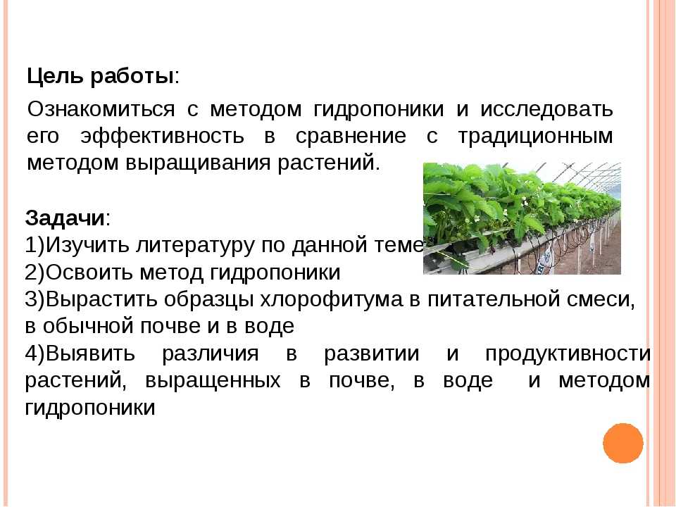 Гидропоника в домашних условиях своими руками