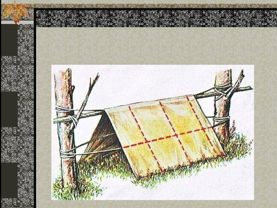 Как построить шалаш своими руками: сооружение убежищ из веток в лесу